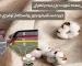 پخش عمده شورت نخ پنبه در تهران - کمند